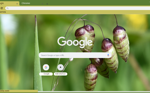 Quaking Grass  from Chrome web store to be run with OffiDocs Chromium online