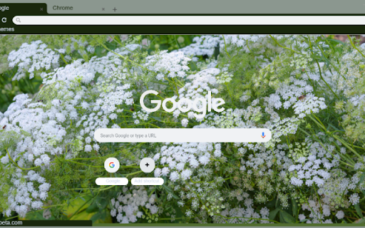 Queen Anne’s Lace  from Chrome web store to be run with OffiDocs Chromium online