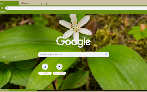 Queen’s Cup  from Chrome web store to be run with OffiDocs Chromium online