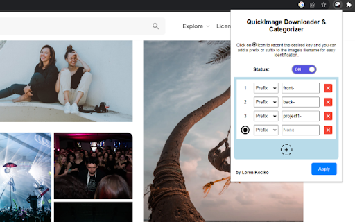 QuickImage Downloader  Categorizer  from Chrome web store to be run with OffiDocs Chromium online