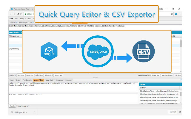 Quick Query Editor and CSV Exporter  from Chrome web store to be run with OffiDocs Chromium online