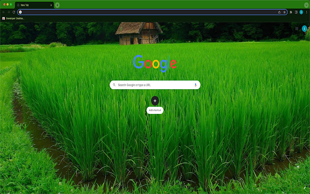 Quick Rice Purity New Tab  from Chrome web store to be run with OffiDocs Chromium online