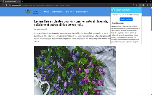 小濃縮 (Quick Summary)  from Chrome web store to be run with OffiDocs Chromium online