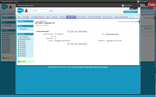 Quick View Salesforce Records  from Chrome web store to be run with OffiDocs Chromium online