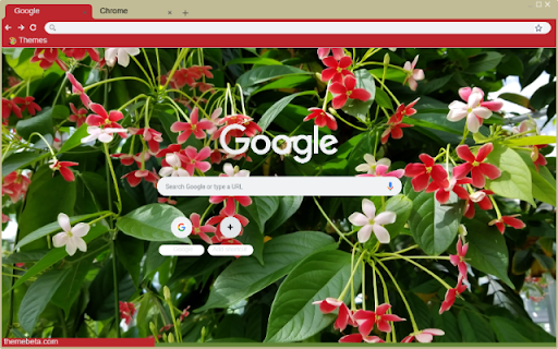 Quisqualis Indica  from Chrome web store to be run with OffiDocs Chromium online