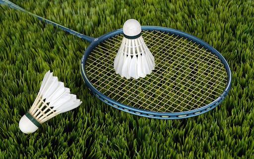 Racket on the court  from Chrome web store to be run with OffiDocs Chromium online