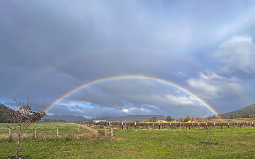 Rainbow on the farm  from Chrome web store to be run with OffiDocs Chromium online