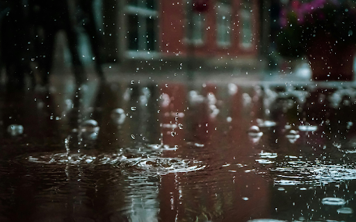 Raindrops delicately cling to the surface  from Chrome web store to be run with OffiDocs Chromium online