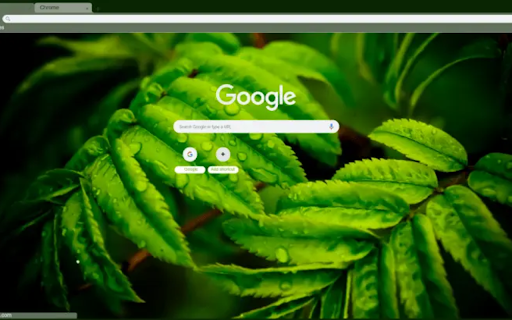 Rain drops on leaf  from Chrome web store to be run with OffiDocs Chromium online