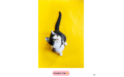 Random Cat  from Chrome web store to be run with OffiDocs Chromium online