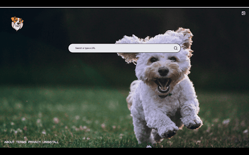 Random Dog New Tab  from Chrome web store to be run with OffiDocs Chromium online