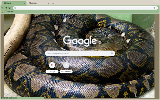 Ran Piton  from Chrome web store to be run with OffiDocs Chromium online