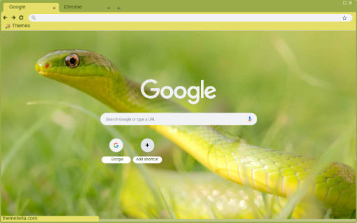 Ran Xanh  from Chrome web store to be run with OffiDocs Chromium online