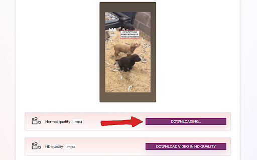 Rapid Video Downloader for Facebook™  from Chrome web store to be run with OffiDocs Chromium online