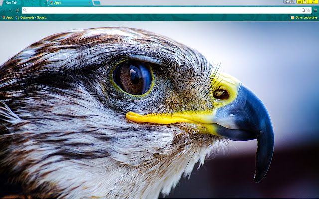 Raptor  from Chrome web store to be run with OffiDocs Chromium online
