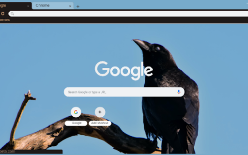 Raven  from Chrome web store to be run with OffiDocs Chromium online