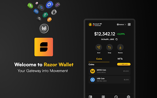 Razor Wallet  from Chrome web store to be run with OffiDocs Chromium online