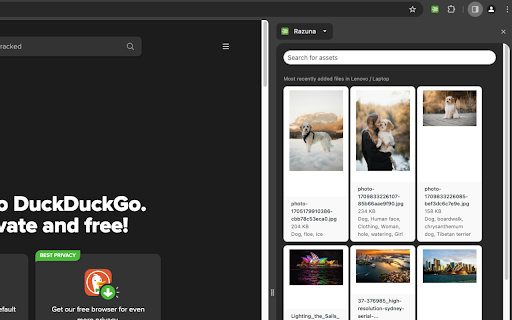 Razuna  from Chrome web store to be run with OffiDocs Chromium online