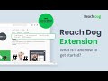 Reachdog  from Chrome web store to be run with OffiDocs Chromium online