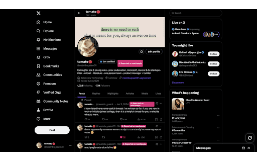 ReachPaglu  from Chrome web store to be run with OffiDocs Chromium online