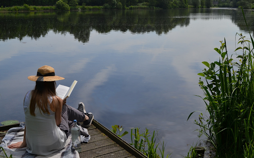 Read books outside the lake  from Chrome web store to be run with OffiDocs Chromium online
