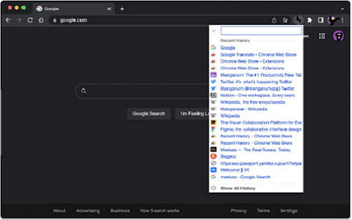 Recent History URL  from Chrome web store to be run with OffiDocs Chromium online