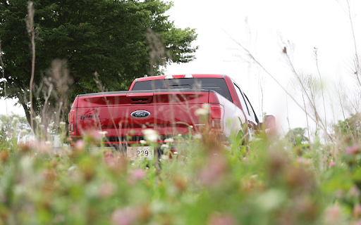 Red car on the grass  from Chrome web store to be run with OffiDocs Chromium online