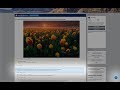 Reddit Scrollit  from Chrome web store to be run with OffiDocs Chromium online