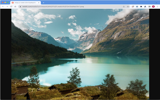 Reddit Sucks!  from Chrome web store to be run with OffiDocs Chromium online