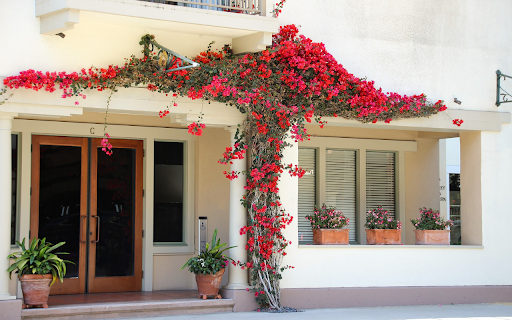 Red flower trellis  from Chrome web store to be run with OffiDocs Chromium online