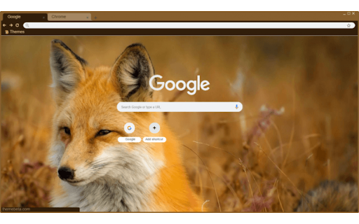 Red fox in wheat field  from Chrome web store to be run with OffiDocs Chromium online