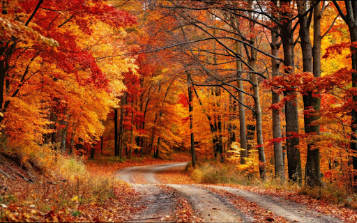 red leaves in autumn forest  from Chrome web store to be run with OffiDocs Chromium online