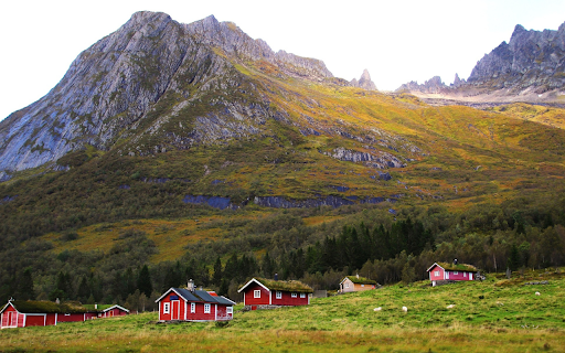 Red mushroom house  from Chrome web store to be run with OffiDocs Chromium online