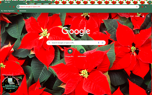 Red Poinsettia Flowers  from Chrome web store to be run with OffiDocs Chromium online