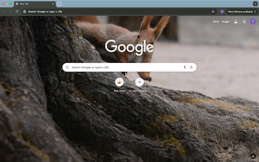 red squirrel and tree  from Chrome web store to be run with OffiDocs Chromium online