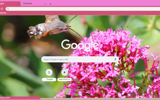 Red Valerian  from Chrome web store to be run with OffiDocs Chromium online