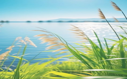 Reeds stretching in the wind Wallpaper  from Chrome web store to be run with OffiDocs Chromium online