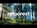 refoorest: plant trees for free  from Chrome web store to be run with OffiDocs Chromium online