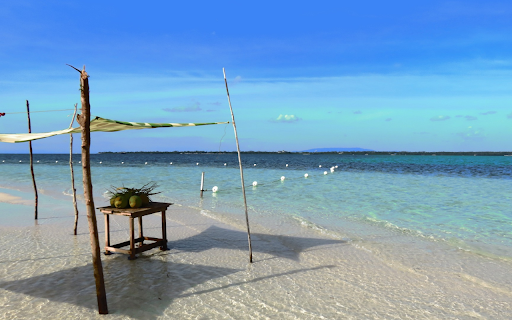 Refreshing sea coconut  from Chrome web store to be run with OffiDocs Chromium online