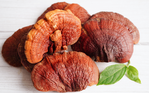 Reishi Mushroom Theme  from Chrome web store to be run with OffiDocs Chromium online