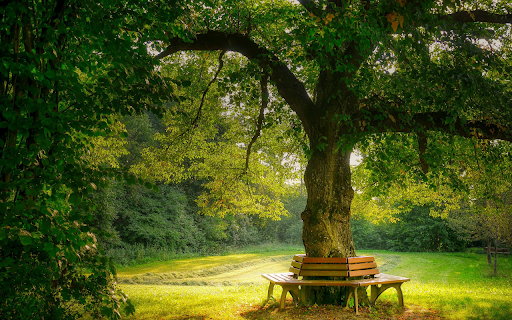 Relaxing green park  from Chrome web store to be run with OffiDocs Chromium online