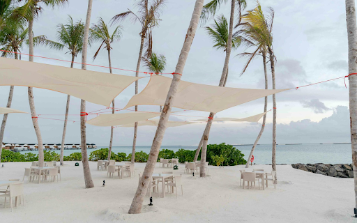 Relaxing under the coconut trees  from Chrome web store to be run with OffiDocs Chromium online