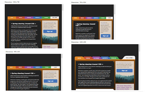 Responsive View BETA  from Chrome web store to be run with OffiDocs Chromium online