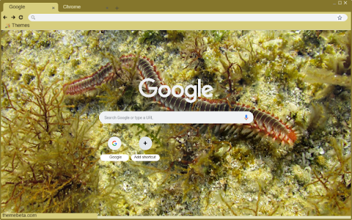 Ret Bien  from Chrome web store to be run with OffiDocs Chromium online