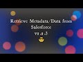 Retrieve Metadata/Data from Salesforce  from Chrome web store to be run with OffiDocs Chromium online