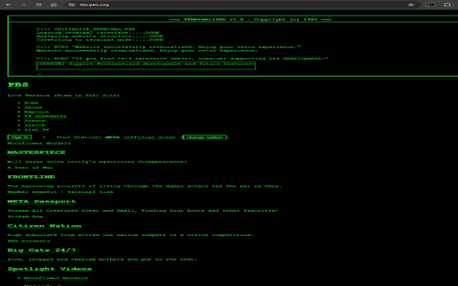Retro Terminal View  from Chrome web store to be run with OffiDocs Chromium online