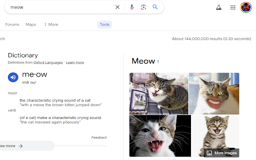 Return Search Results  from Chrome web store to be run with OffiDocs Chromium online