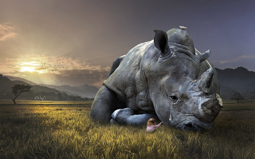 Rhino and pain  from Chrome web store to be run with OffiDocs Chromium online