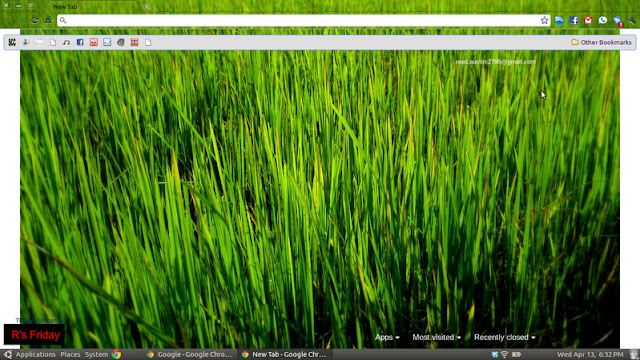 Rice  from Chrome web store to be run with OffiDocs Chromium online