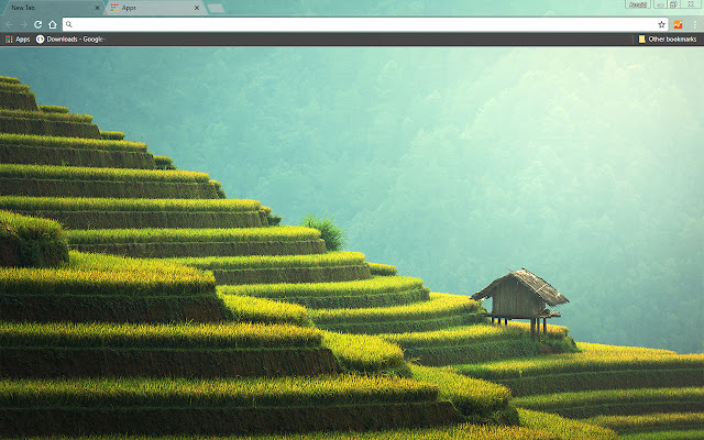 Rice Paddy  from Chrome web store to be run with OffiDocs Chromium online
